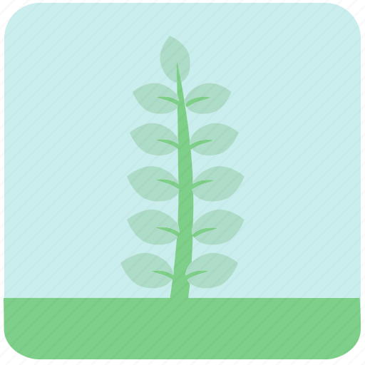 Blue flowers, blue leaves, flowers, garden, garden plants, leaves, plants icon - Download on Iconfinder
