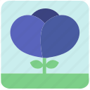 blue flower, floral, flowers, garden, garden flowers, garden plants, plants