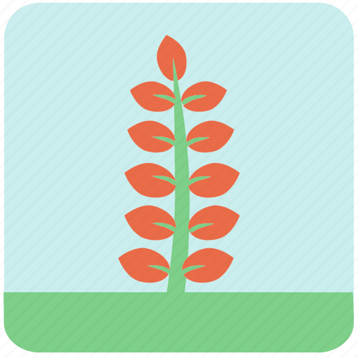 Flowers, garden, garden plants, leaves, orange flower, orange leaves, plants icon - Download on Iconfinder