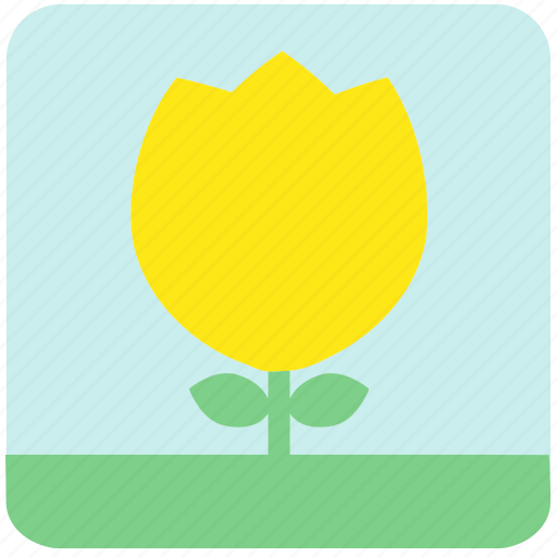 Floral, flowers, garden, garden flowers, garden plants, plants, yellow flower icon - Download on Iconfinder