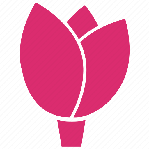 Flower, bloom, ecology, lotus, nature, pink, plant icon - Download on Iconfinder