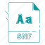 extension, file, font, font extension, snf, type, type font 