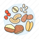 almond, cashew, cranberry, food, fruits, hazelnut, macadamia, nuts, peanut, vegetables