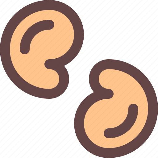 Cashew, food, nut, peanut icon - Download on Iconfinder