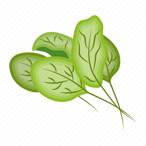 Spinach, vegetable, organic food, healthy food, edible icon - Download on Iconfinder