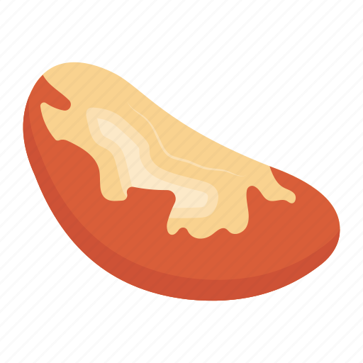 Dry fruit, brazil nut, nut, edible, organic food icon - Download on Iconfinder