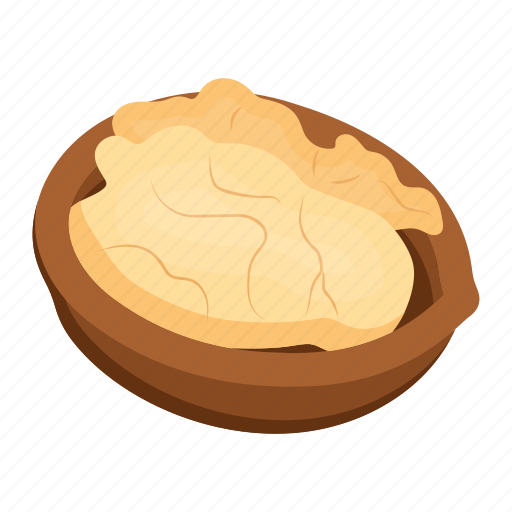 Juglans, walnut, dry fruit, edible, nut icon - Download on Iconfinder