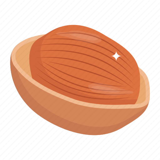 Macadamia, food, nut, dry fruit, edible icon - Download on Iconfinder