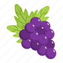 grapes bunch, grapes, vinifera, fruit, organic food