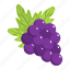 grapes bunch, grapes, vinifera, fruit, organic food 