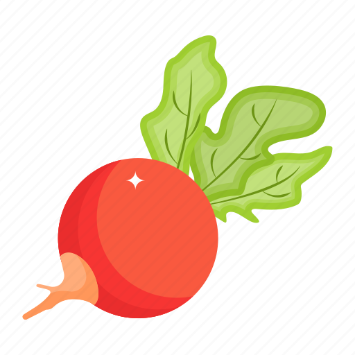 Root vegetable, radish, raphanus sativus, food, edible icon - Download on Iconfinder