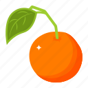orange, rutaceae, fruit, organic food, healthy food