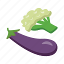 eggplant, cauliflower, vegetable, food, meal