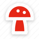 mushroom, fungi, toadstool, forest, poisonous