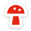 mushroom, fungi, toadstool, forest, poisonous 