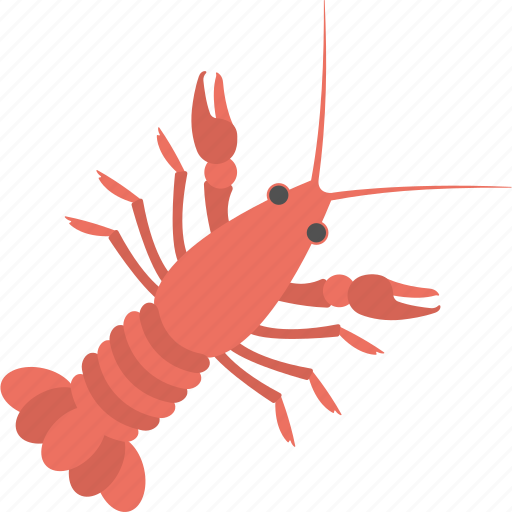 Food, mud crab, sea creature, seafood icon - Download on Iconfinder