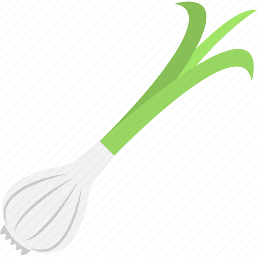 Allium sativum, cooking ingredient, food, garlic, spice icon - Download on Iconfinder
