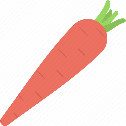 Carrot, food, healthy diet, organic food, vegetable icon - Download on Iconfinder