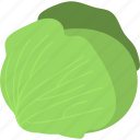 cabbage, healthy diet, organic food, salad, vegetable 
