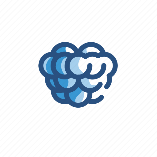 Fruit, grape, grapes icon - Download on Iconfinder