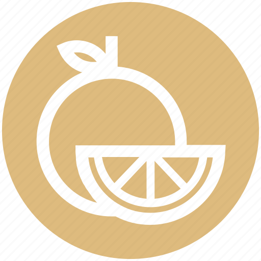 .svg, citrus, food, fruit, natural, orange, organic icon - Download on Iconfinder