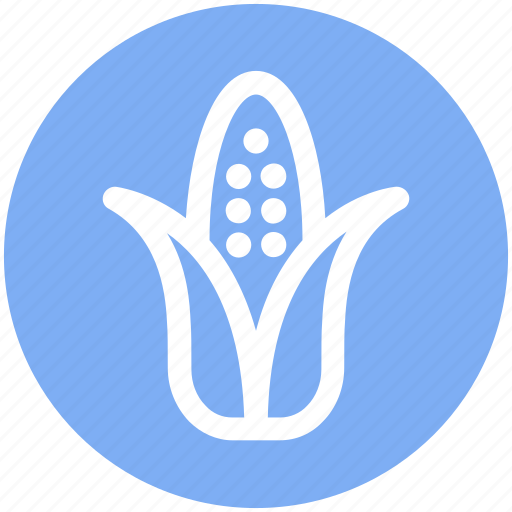.svg, agriculture, corn, food, maize, syrup, vegetables icon - Download on Iconfinder