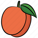 apricot, food, fruit, healthy food, peach