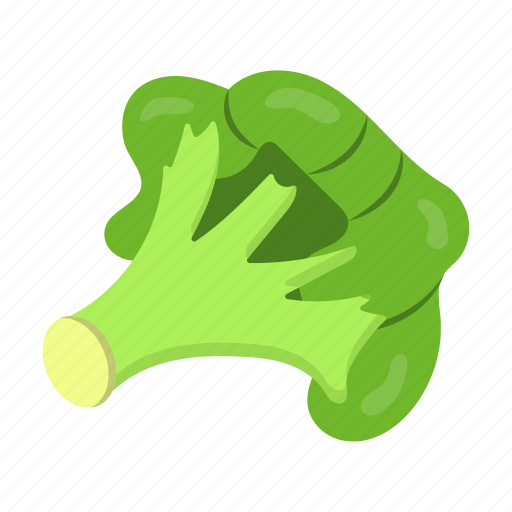 Vegetable, eat, cabbage, food, broccoli icon - Download on Iconfinder