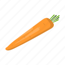 diet, carrot, healthy, vegetable, food