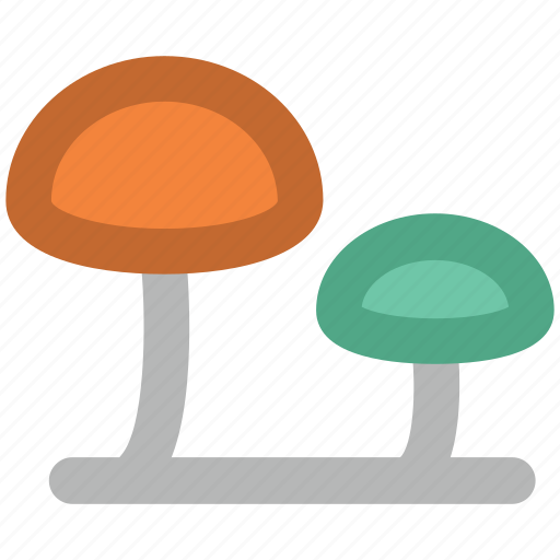 Food, fungi, fungus, mushroom, oyster mushroom, vegetable icon - Download on Iconfinder