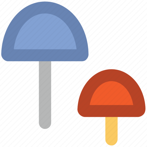 Food, fungi, fungus, mushroom, oyster mushroom, vegetable icon - Download on Iconfinder