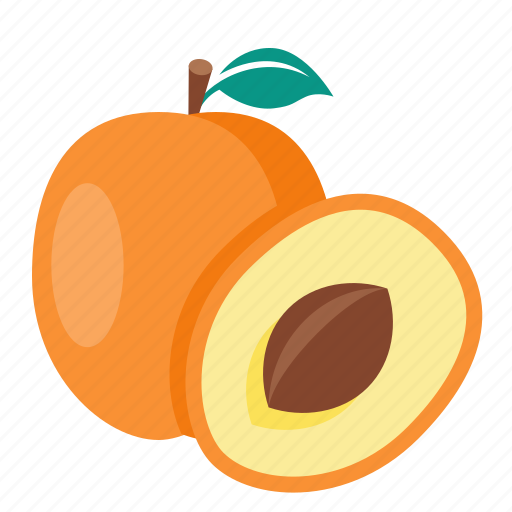 Apricot, food, fruit, ripe icon - Download on Iconfinder