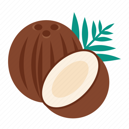 Coconut, nut, palm icon - Download on Iconfinder