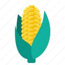 corn, food, vegetable