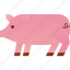 pig, animal, pork, farm, butcher 