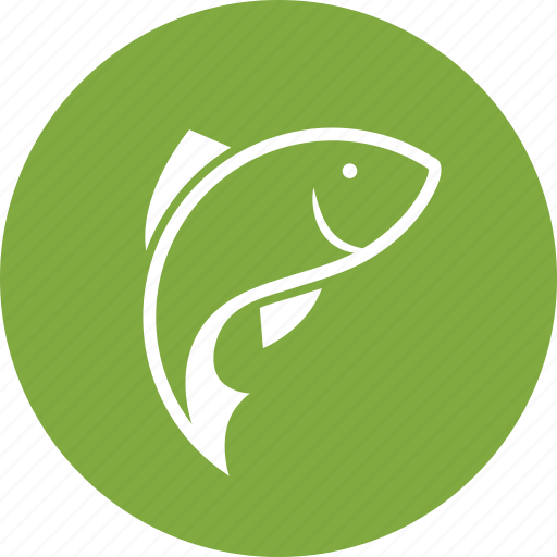Carp, carp fishing, fish, fishing, wildlife icon - Download on Iconfinder