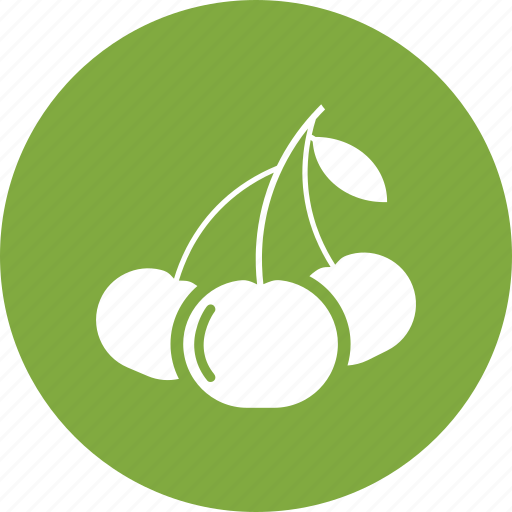 Berry, cherry, healthy, sweet icon - Download on Iconfinder