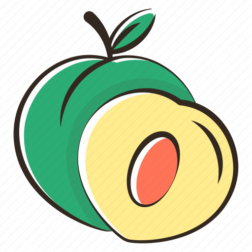 Apricot, fruit, nectarine, peach, plum icon - Download on Iconfinder