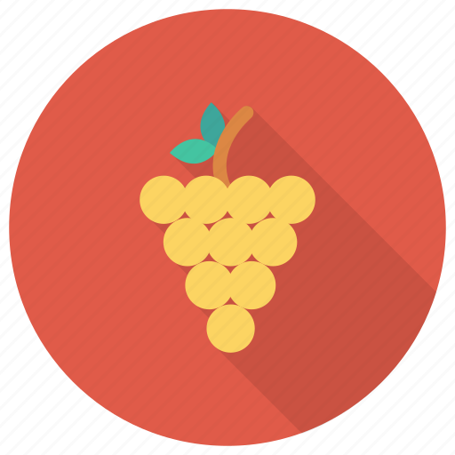 Berry, bunch, food, fruit, fruits, grape, grapes icon - Download on Iconfinder
