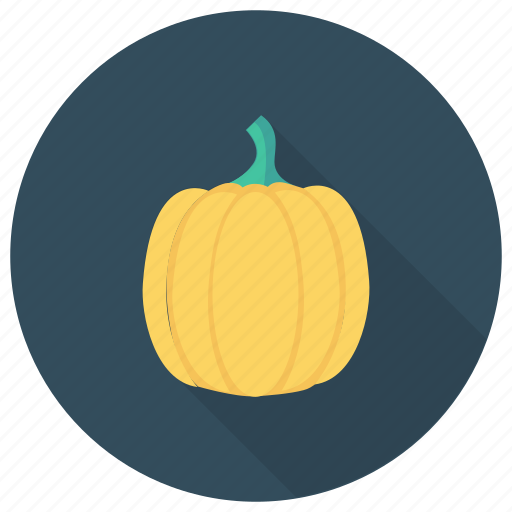 Cooking, eating, food, happy, healthy, pumpkin, vegetable icon - Download on Iconfinder