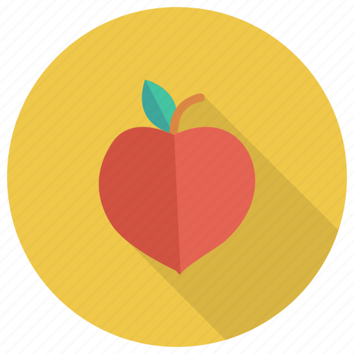 Apricot, food, freshfruit, fruit, fruits, healthy, peach icon - Download on Iconfinder