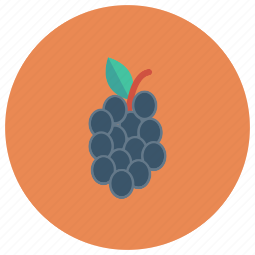 Berry, bunch, food, fruit, grape, healthy, wine icon - Download on Iconfinder