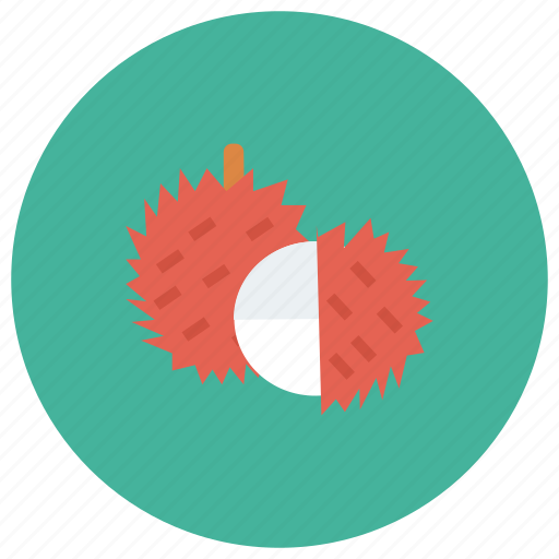 Diet, food, fruit, fruits, health, lychee, sweet icon - Download on Iconfinder