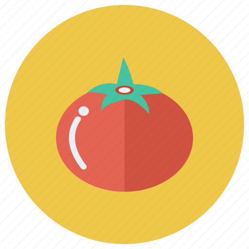 Bottle, cooking, fresh, ketchup, tomato, vegetables, vegetarian icon - Download on Iconfinder