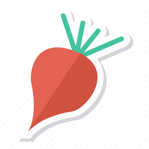 Beets, cooking, food, ingredients, meal, radish, vegetable icon - Download on Iconfinder