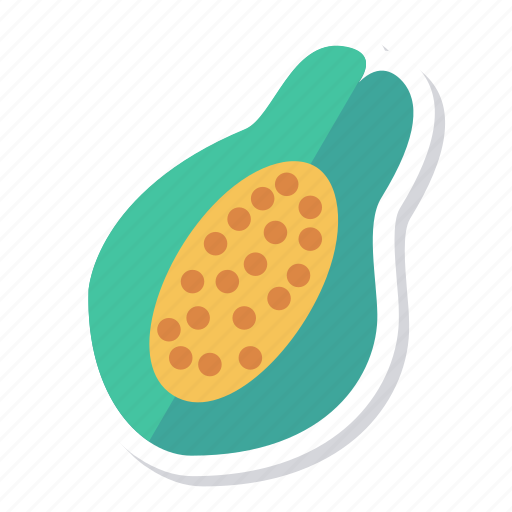 Food, fresh, fruit, half, papaya, sweet, vegetable icon - Download on Iconfinder