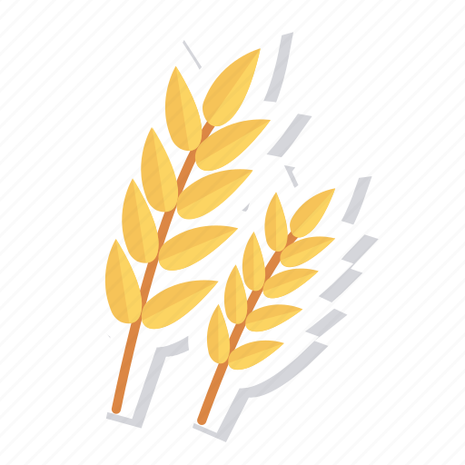Breakfast, flour, food, grain, healthy, nature, wheat icon - Download on Iconfinder