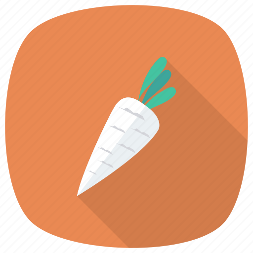 Carrot, cooking, food, fruit, healthy, package, vegetable icon - Download on Iconfinder