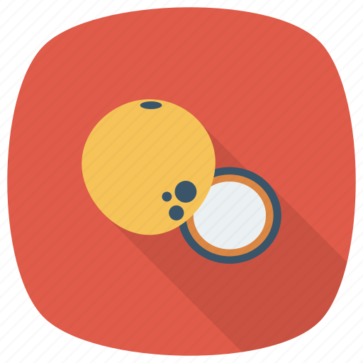 Chairs, coconut, coconutslice, cooking, drink, food, fruit icon - Download on Iconfinder