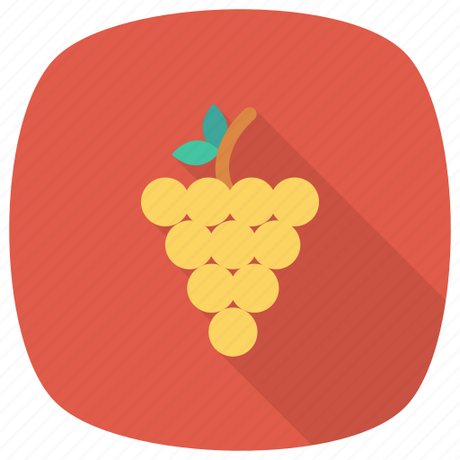 Berry, bunch, food, fruit, fruits, grape, grapes icon - Download on Iconfinder